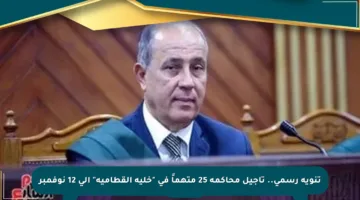 تنويه رسمي.. تأجيل محاكمة 25 متهماً في “خلية القطامية” إلى 12 نوفمبر